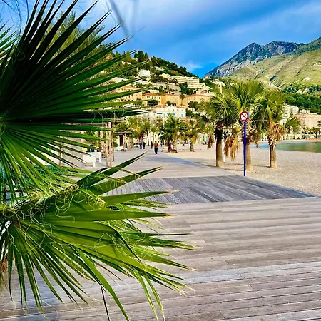 Petit Vue Menton