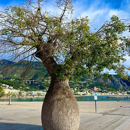 Apartamento Petit Vue